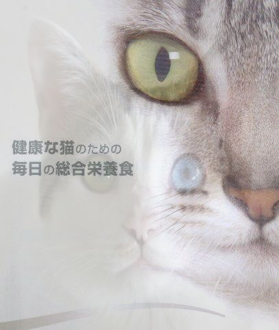 RoyalCanin�@���C�����J�i���@���K�i�@�A�����M�[�Ή��@��z�@���������@�@