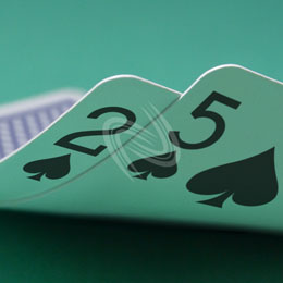 eLTX z[f |[J[ X^[eBO nh ʐ^E摜:u2s5sv[](p) / Texas Hold'em Poker Starting Hands Photo, Image:2s5s[Small](for Commercial)