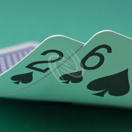 eLTX z[f |[J[ X^[eBO nh ʐ^E摜:u2s6sv[](p) / Texas Hold'em Poker Starting Hands Photo, Image:2s6s[Small](for Commercial)
