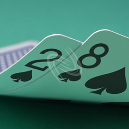 eLTX z[f |[J[ X^[eBO nh ʐ^E摜:u2s8sv[](p) / Texas Hold'em Poker Starting Hands Photo, Image:2s8s[Small](for Commercial)