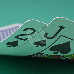 eLTX z[f |[J[ X^[eBO nh ʐ^E摜:u2sJsv[](l) / Texas Hold'em Poker Starting Hands Photo, Image:2sJs[Small](for Personal)