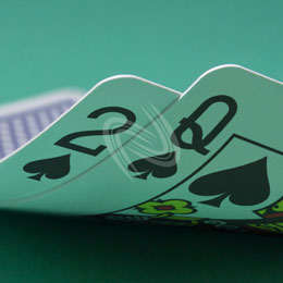 eLTX z[f |[J[ X^[eBO nh ʐ^E摜:u2sQsv[](l) / Texas Hold'em Poker Starting Hands Photo, Image:2sQs[Small](for Personal)
