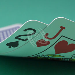 eLTX z[f |[J[ X^[eBO nh ʐ^E摜:u2sJhv[](p) / Texas Hold'em Poker Starting Hands Photo, Image:2sJh[Small](for Commercial)