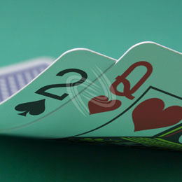 eLTX z[f |[J[ X^[eBO nh ʐ^E摜:u2sQhv[](p) / Texas Hold'em Poker Starting Hands Photo, Image:2sQh[Small](for Commercial)
