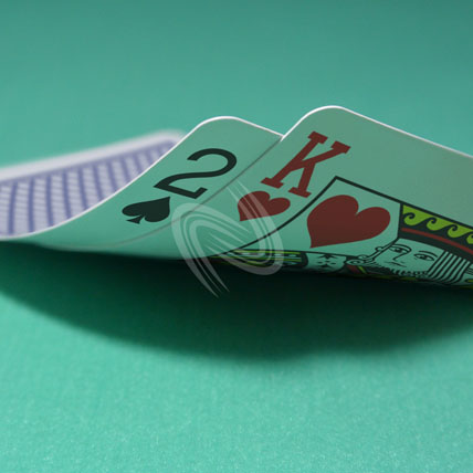 eLTX z[f |[J[ X^[eBO nh ʐ^E摜:u2sKhv[](p) / Texas Hold'em Poker Starting Hands Photo, Image:2sKh[Medium](for Commercial)