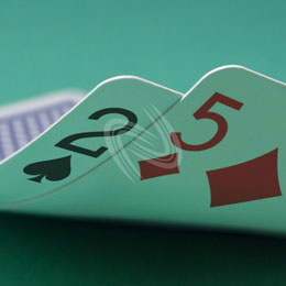eLTX z[f |[J[ X^[eBO nh ʐ^E摜:u2s5dv[](l) / Texas Hold'em Poker Starting Hands Photo, Image:2s5d[Small](for Personal)