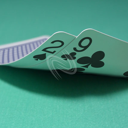 eLTX z[f |[J[ X^[eBO nh ʐ^E摜:u2s9cv[](p) / Texas Hold'em Poker Starting Hands Photo, Image:2s9c[Medium](for Commercial)