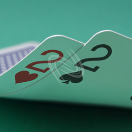 eLTX z[f |[J[ X^[eBO nh ʐ^E摜:u2h2sv[](l) / Texas Hold'em Poker Starting Hands Photo, Image:2h2s[Small](for Personal)