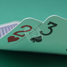 eLTX z[f |[J[ X^[eBO nh ʐ^E摜:u2h3sv[](l) / Texas Hold'em Poker Starting Hands Photo, Image:2h3s[Small](for Personal)