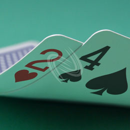 eLTX z[f |[J[ X^[eBO nh ʐ^E摜:u2h4sv[](l) / Texas Hold'em Poker Starting Hands Photo, Image:2h4s[Small](for Personal)