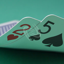 eLTX z[f |[J[ X^[eBO nh ʐ^E摜:u2h5sv[](l) / Texas Hold'em Poker Starting Hands Photo, Image:2h5s[Small](for Personal)