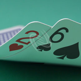 eLTX z[f |[J[ X^[eBO nh ʐ^E摜:u2h6sv[](l) / Texas Hold'em Poker Starting Hands Photo, Image:2h6s[Small](for Personal)