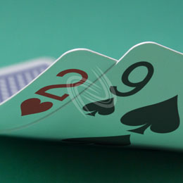 eLTX z[f |[J[ X^[eBO nh ʐ^E摜:u2h9sv[](l) / Texas Hold'em Poker Starting Hands Photo, Image:2h9s[Small](for Personal)