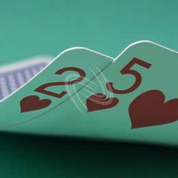 eLTX z[f |[J[ X^[eBO nh ʐ^E摜:u2h5hv[](l) / Texas Hold'em Poker Starting Hands Photo, Image:2h5h[Small](for Personal)