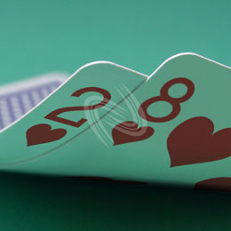 eLTX z[f |[J[ X^[eBO nh ʐ^E摜:u2h8hv[](l) / Texas Hold'em Poker Starting Hands Photo, Image:2h8h[Small](for Personal)