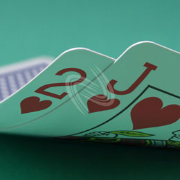 eLTX z[f |[J[ X^[eBO nh ʐ^E摜:u2hJhv[](l) / Texas Hold'em Poker Starting Hands Photo, Image:2hJh[Small](for Personal)