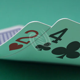 eLTX z[f |[J[ X^[eBO nh ʐ^E摜:u2h4cv[](l) / Texas Hold'em Poker Starting Hands Photo, Image:2h4c[Small](for Personal)