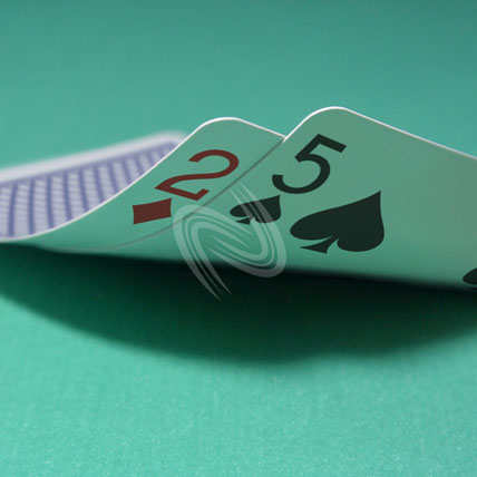 eLTX z[f |[J[ X^[eBO nh ʐ^E摜:u2d5sv[](l) / Texas Hold'em Poker Starting Hands Photo, Image:2d5s[Medium](for Personal)