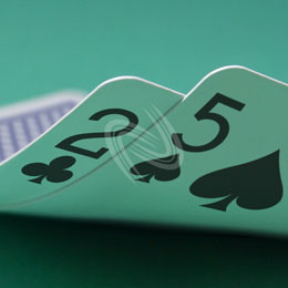 eLTX z[f |[J[ X^[eBO nh ʐ^E摜:u2c5sv[](l) / Texas Hold'em Poker Starting Hands Photo, Image:2c5s[Small](for Personal)