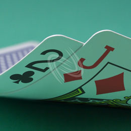 eLTX z[f |[J[ X^[eBO nh ʐ^E摜:u2cJdv[](l) / Texas Hold'em Poker Starting Hands Photo, Image:2cJd[Small](for Personal)